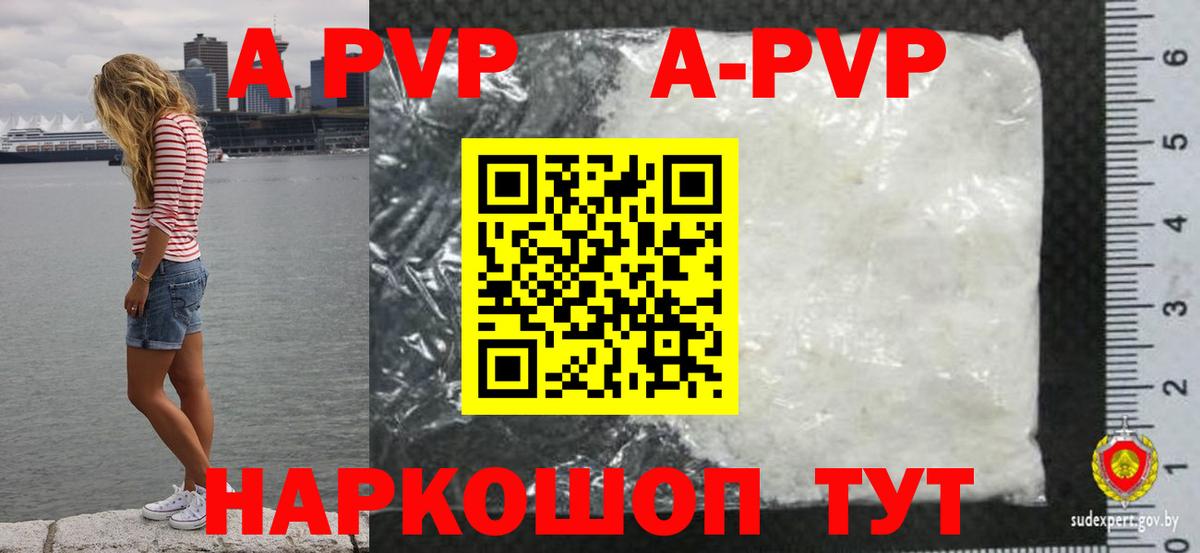 Альфа ПВП СК КРИС Котлас