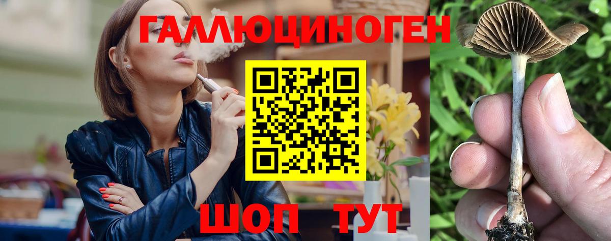 Псилоцибиновые грибы ЛСД Котлас